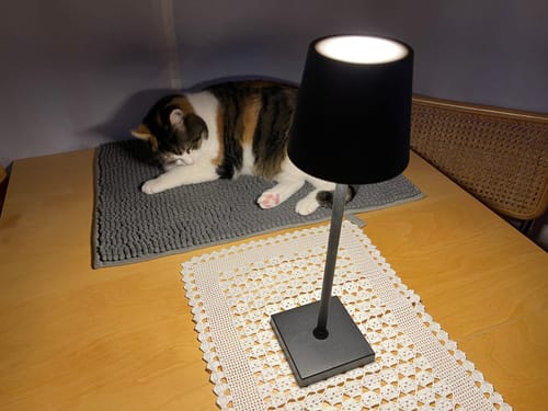 Customer photo review of AURALAMP ULTIMATE™