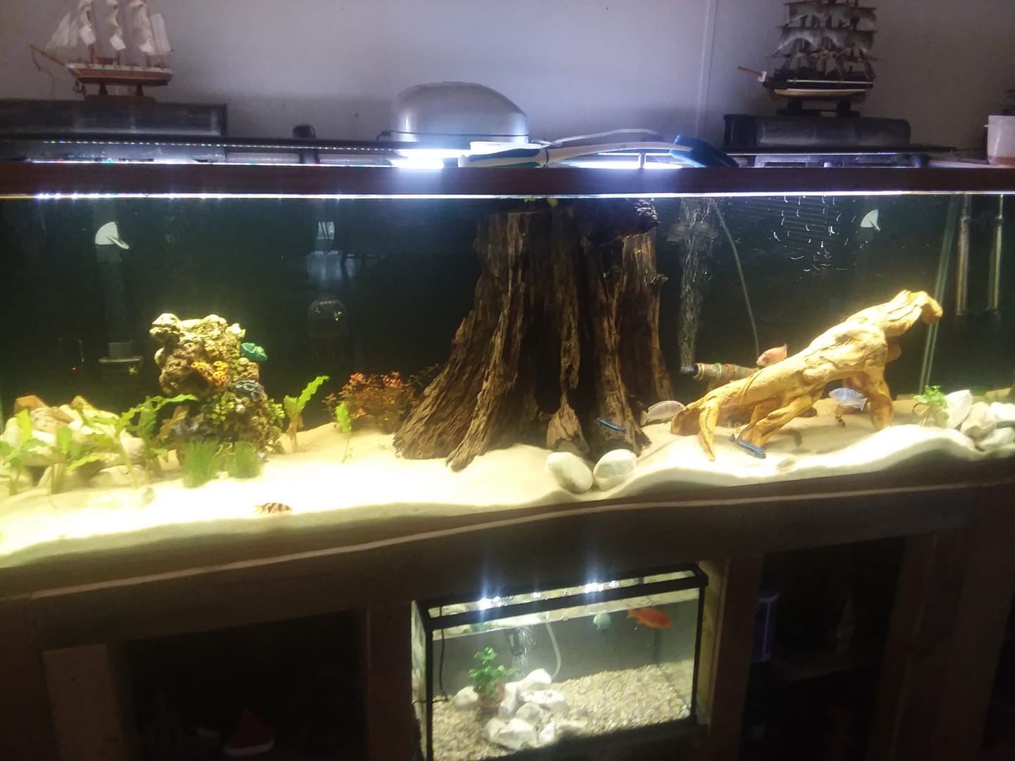 Customer photo review of Northfin Bug Pro