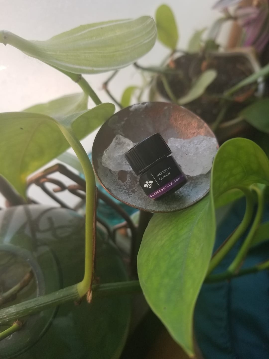 Customer photo review of Imperial Queen