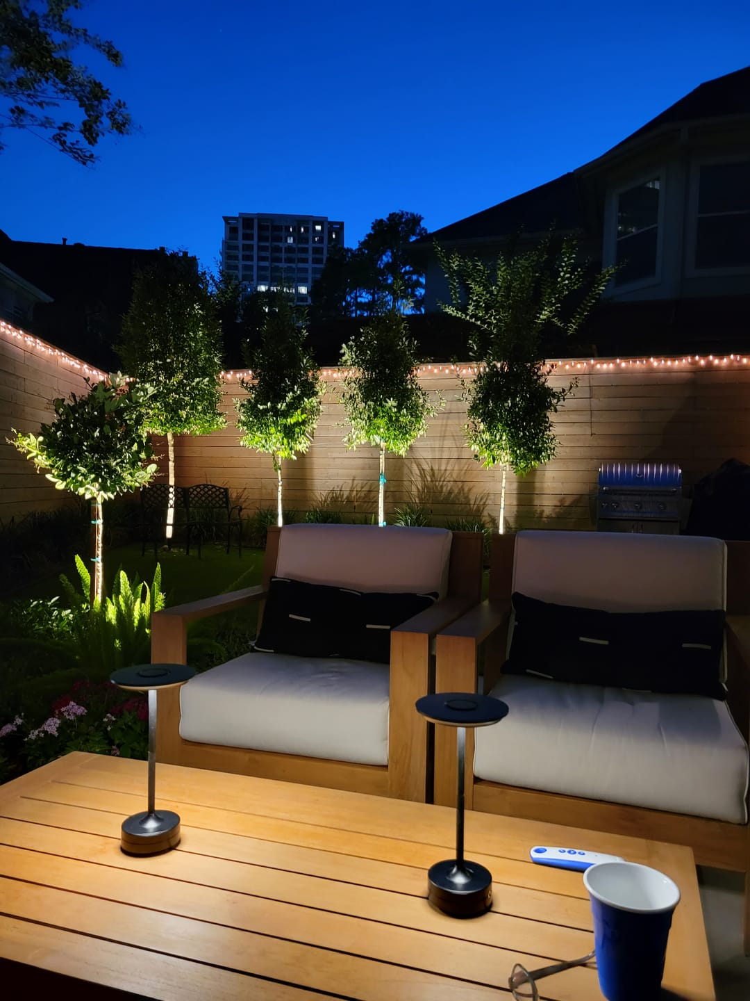 Customer photo review of Ambient™ Metallic Cordless Table Lamp