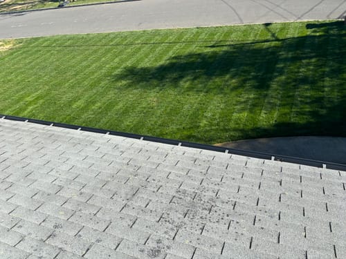 Customer photo review of N-Ext Humic12