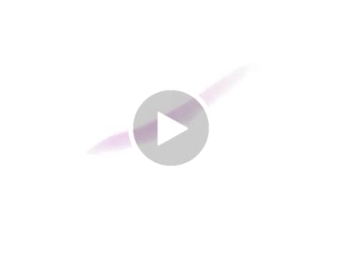 Customer video review of Wild Honey | Bella Lenses