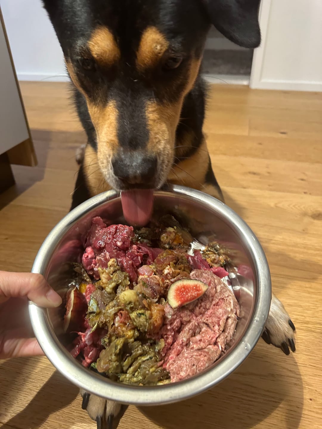 Customer photo review of PRIMAL BALANCE+ - Raw food mix for dogs