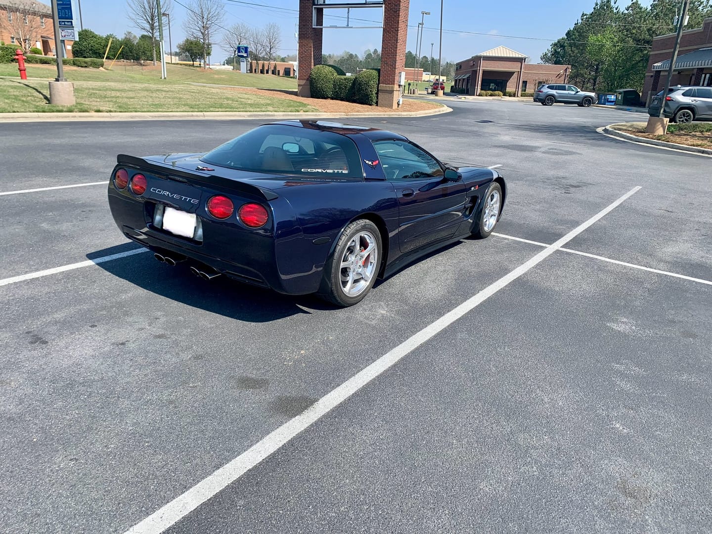 Customer photo review of Chevrolet Corvette C5 ZR1 Side Skirts Rocker Panels