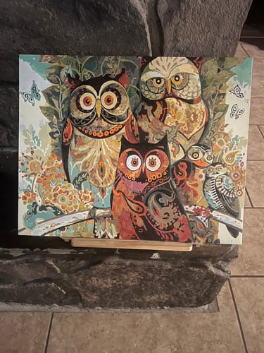 Customer photo review of Painting of Owls by David Galchutt Using Paint by Numbers