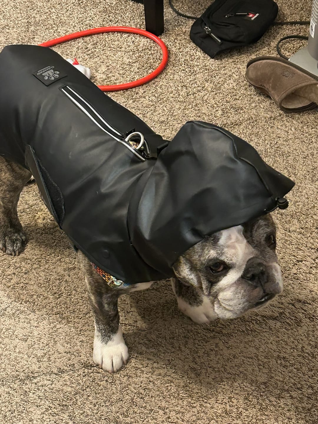 Customer photo review of Stormhunter Raincoat