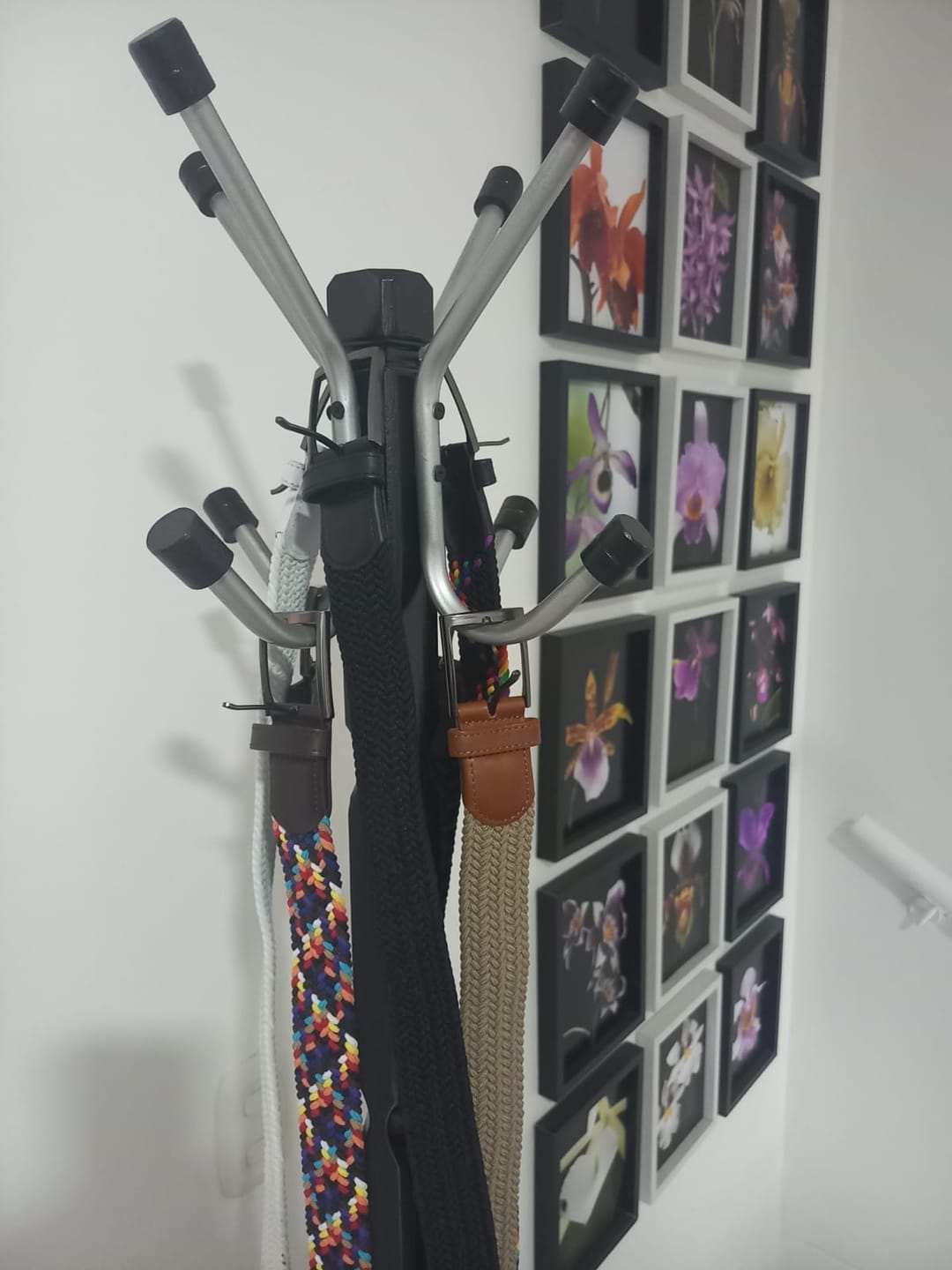 Customer photo review of White Belt