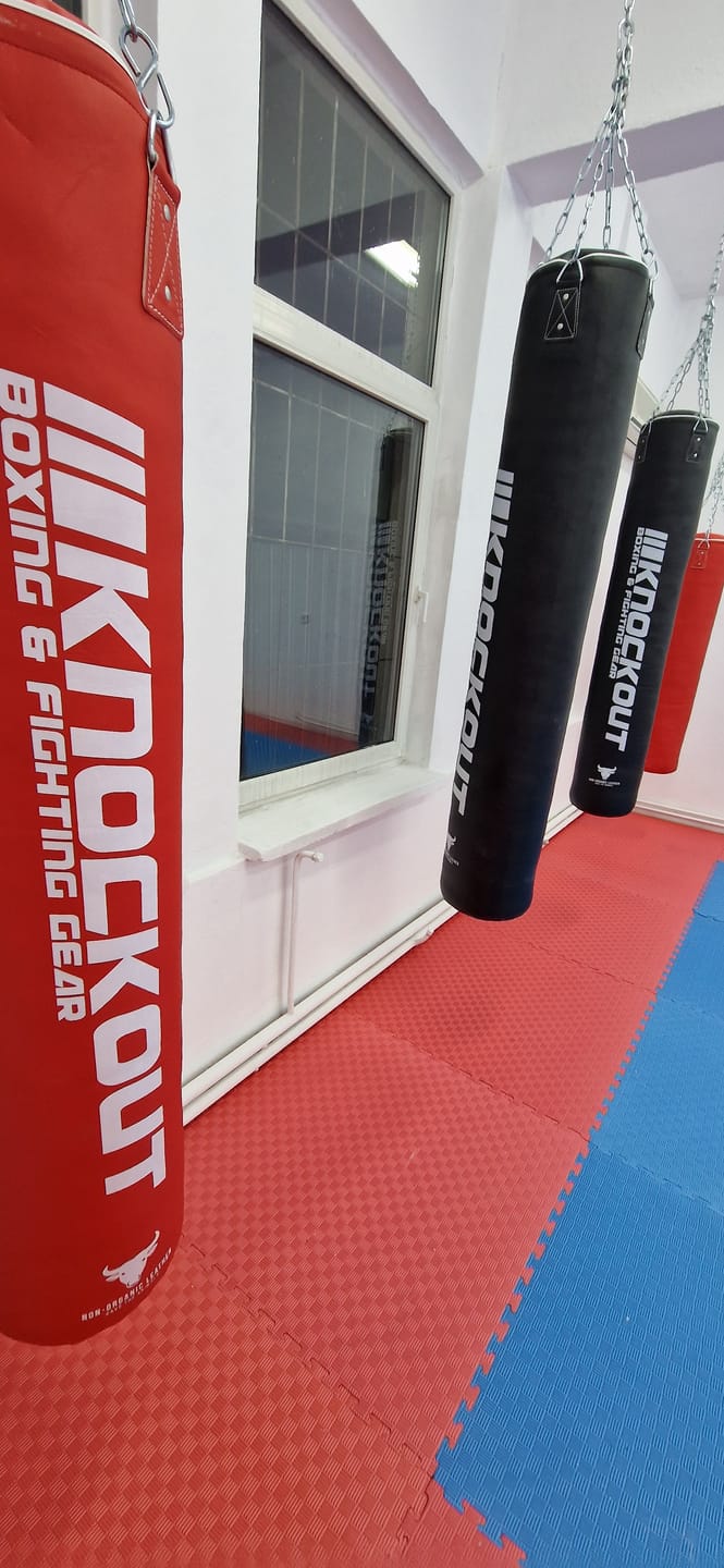 Customer photo review of Sac Box Knockout Skintex