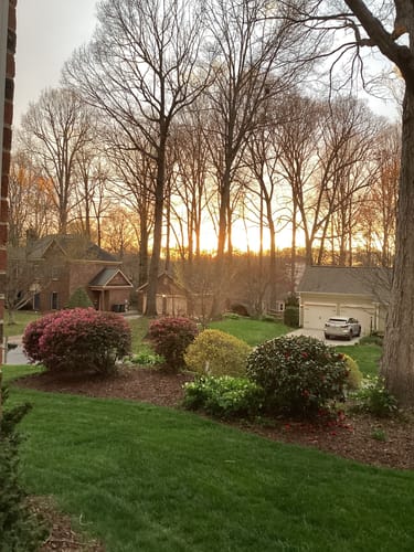 Customer photo review of Custom Paint By Numbers Kit - Upload Your Photo - Brush Set Included