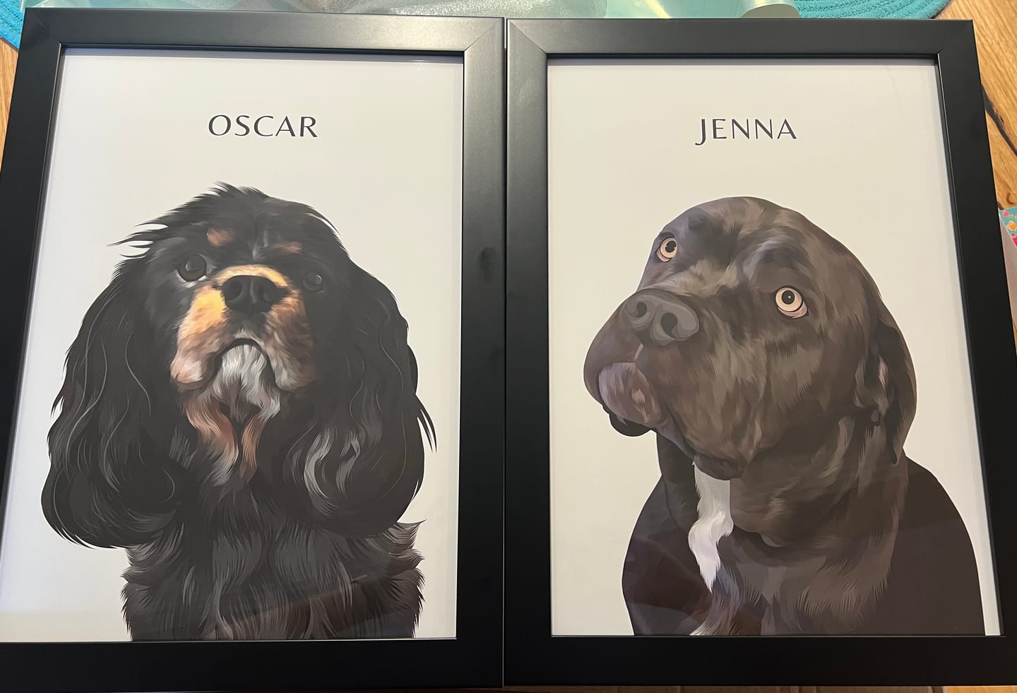 Customer photo review of One-Pet Portrait
