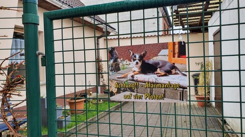 Customer photo review of Hunde-Türschild mit Foto & Wunschtext (UV- UND WETTERFEST)