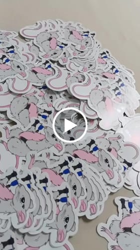 Customer video review of Stickers Económicos | Medida Personalizada