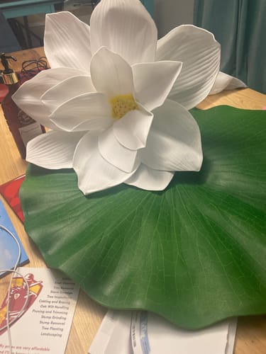 Customer photo review of Bulk Extra Size Lotus Foam Flower Heads Photo Mall Prop Wholesale