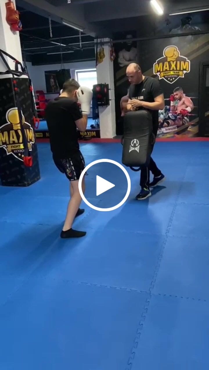 Customer video review of Sort Kickbox Knockout LION