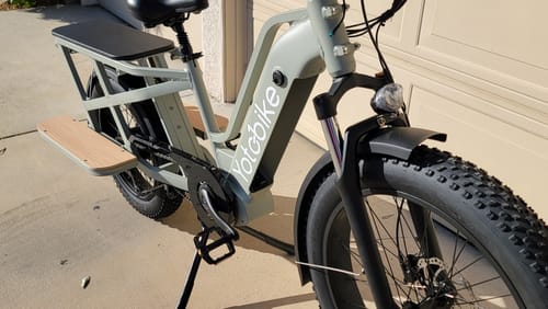 Customer photo review of Yoto Lion Electric Family Cargo Bike