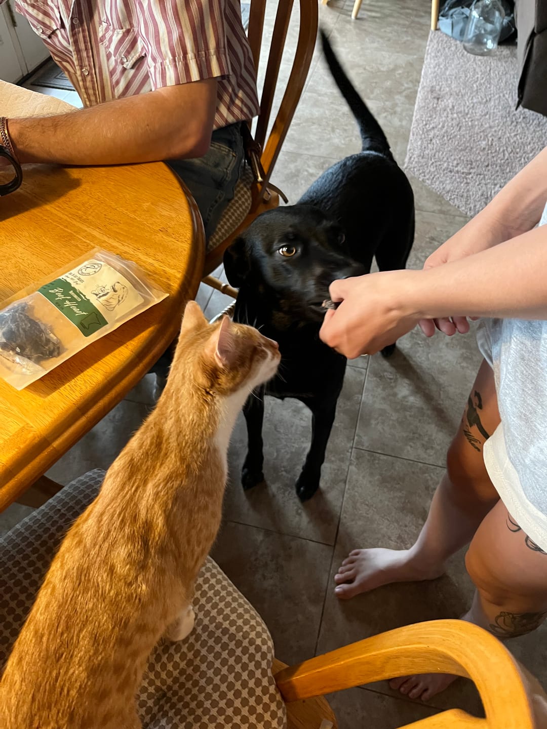 Customer photo review of Beef Heart & Trachea Bundle