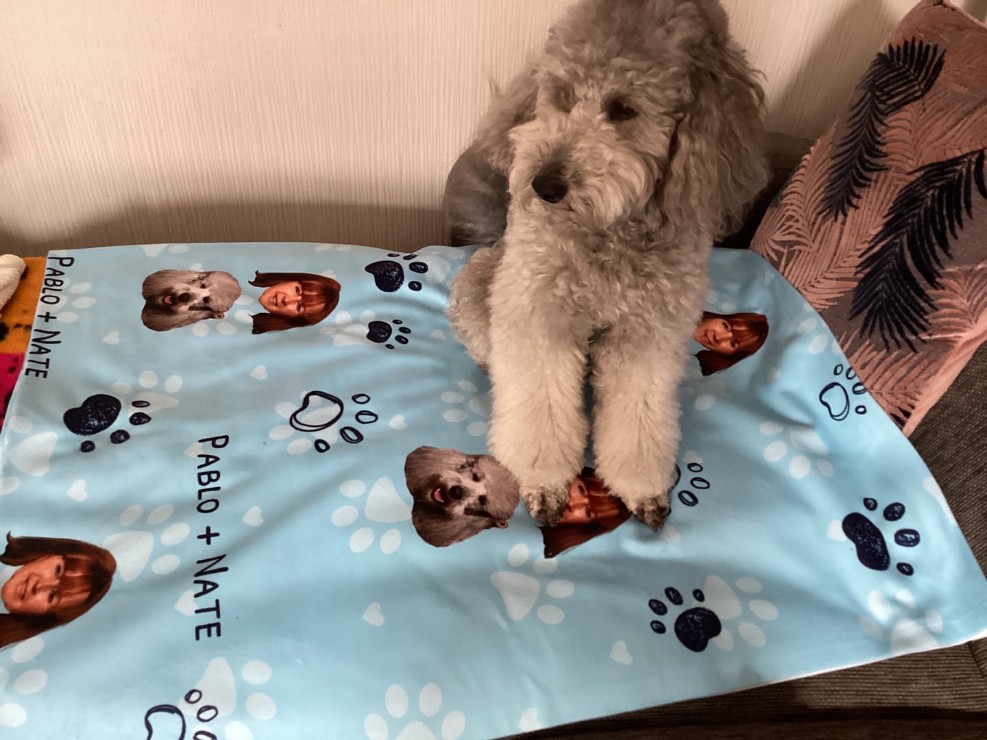Customer photo review of Haustierköpfe - Individuelle Decke