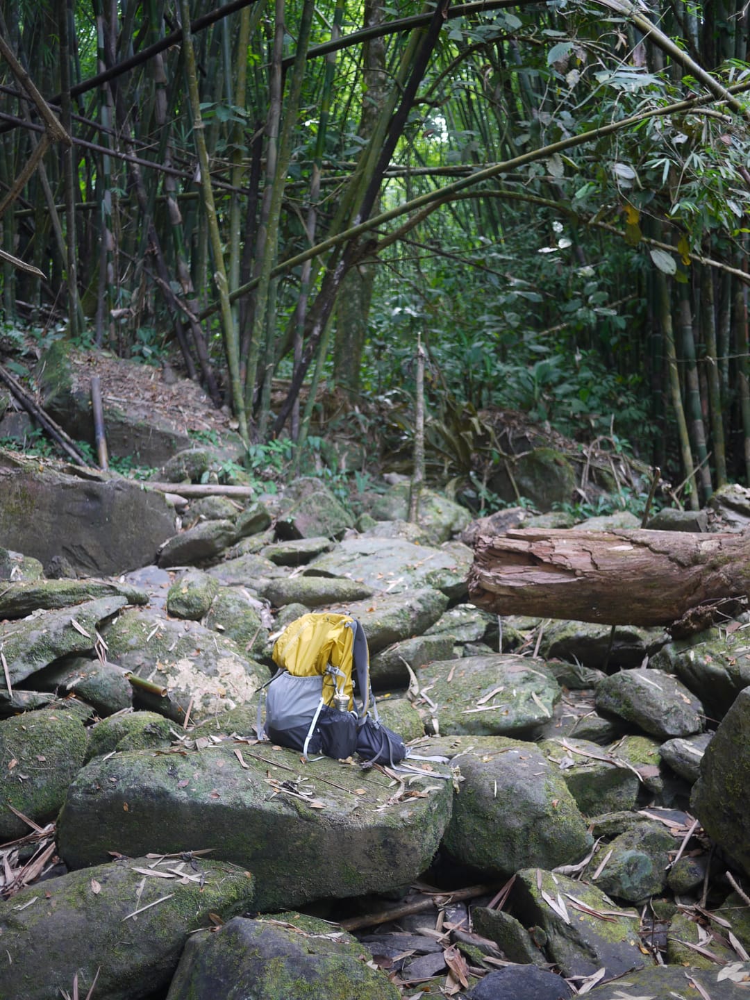 Customer photo review of Gorilla 50 Ultralight Backpack