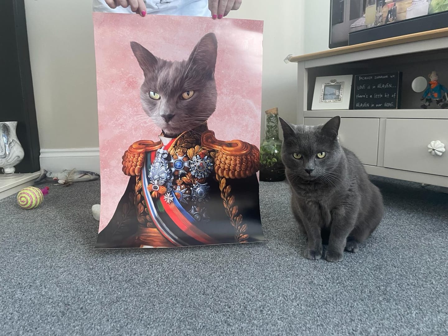 Customer photo review of The First Lieutenant: Custom Pet Portrait