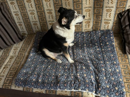 Customer photo review of DogCatFri™ PetBlanket- Hyggelig Kæledyrs Komfort Tæppe