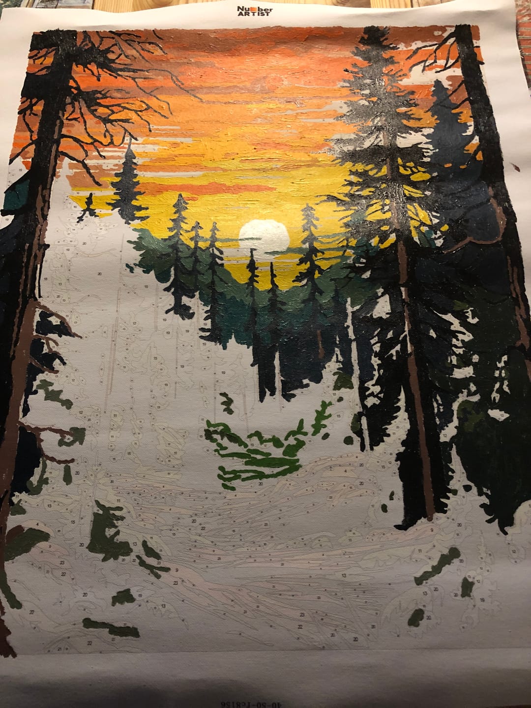 Customer photo review of Tall Trees Forest