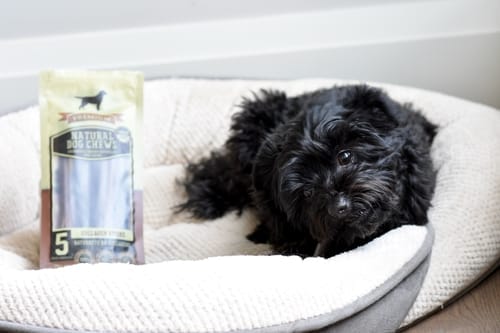 Customer photo review of 5-6 Inch Standard Collagen Stick
