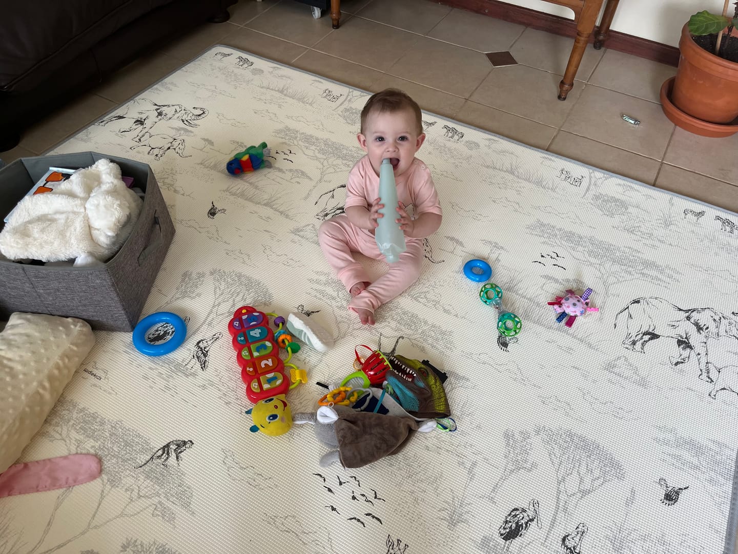 Customer photo review of Safari Toile/ Dune Play Mat