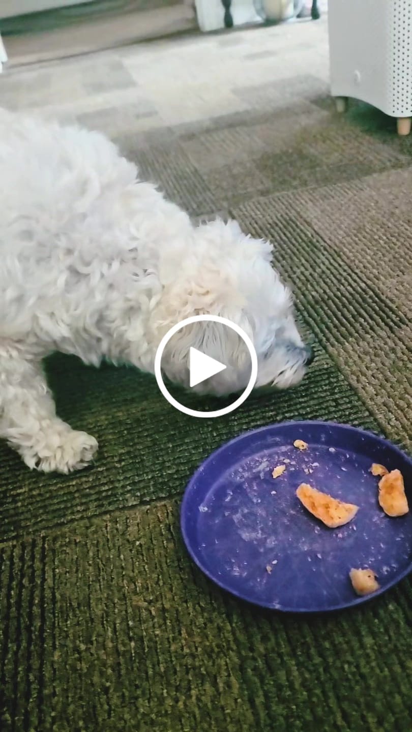 Customer video review of CRUNCHY CHEESE PUFFS