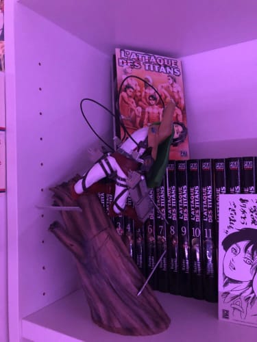 Customer photo review of Attack on Titan - Ackermans Spinner Mode Ver. Figure