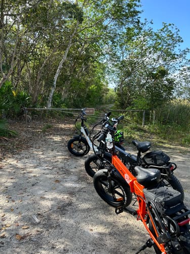 Customer photo review of V3 2.0 Folding Fat Tires Adult All Terrain Electric Bike