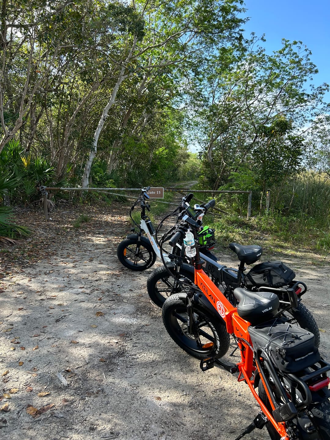 Customer photo review of V3 2.0 Folding Fat Tires Adult All Terrain Electric Bike