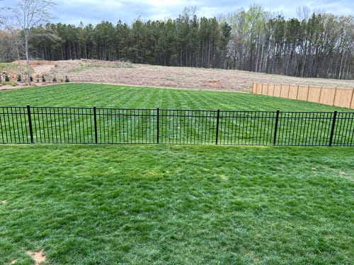 Customer photo review of Big League Lawns - CheckMate™ for Push Mowers