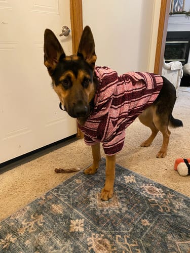 Customer photo review of Playa Poncho - Surprise Color