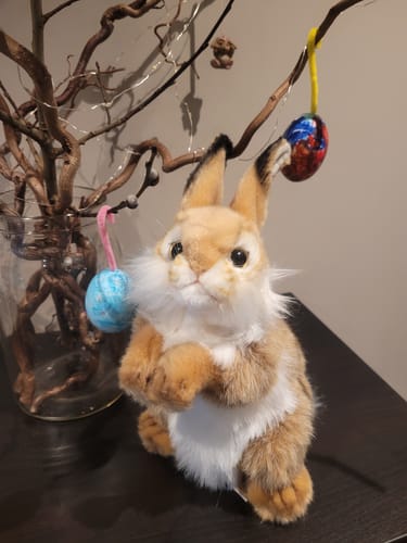 Customer photo review of Bunny teddy 30cm Hansa Creation