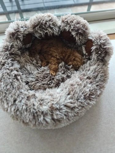 Customer photo review of Fluffy Paw