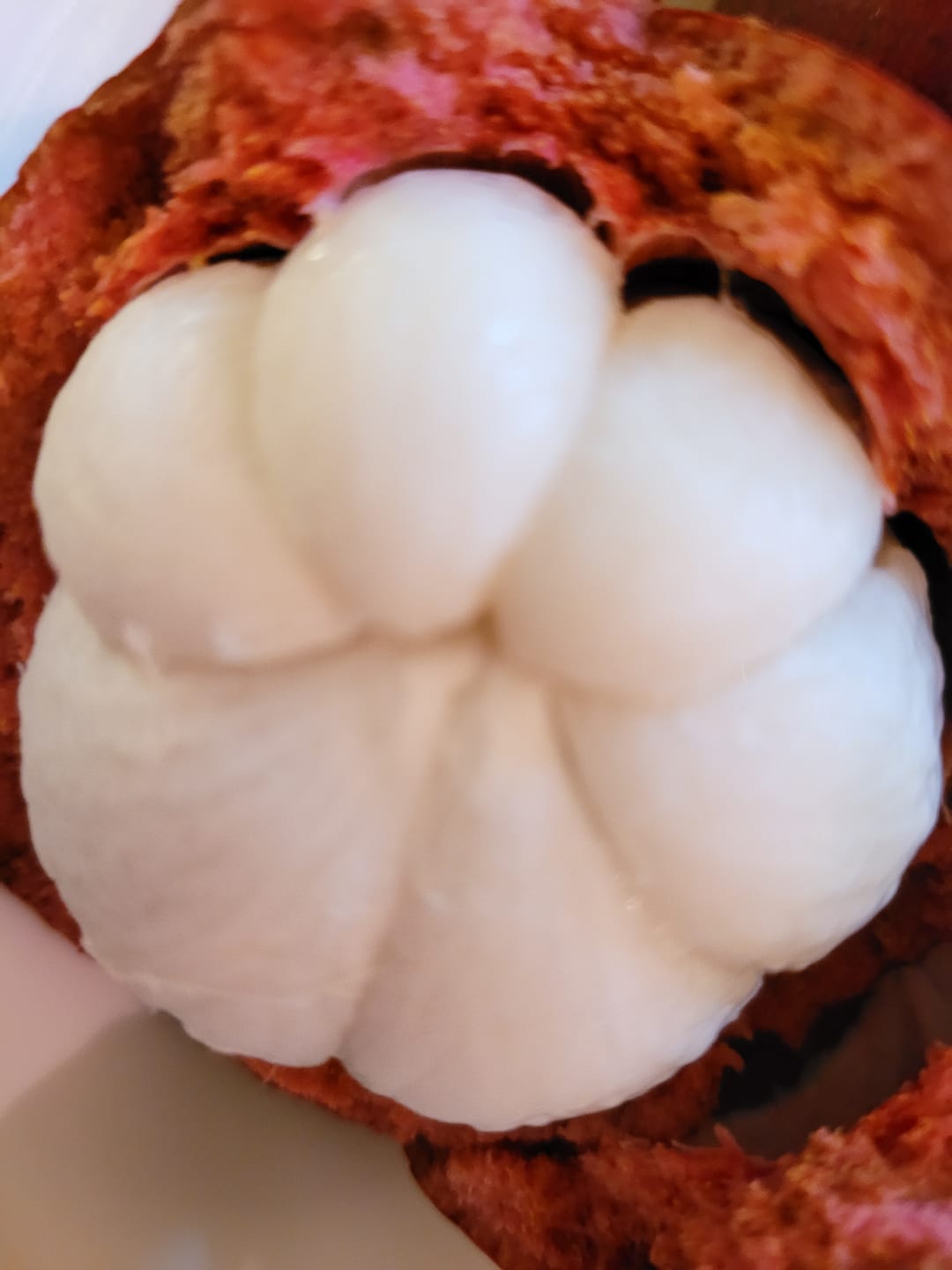 Customer photo review of Mangosteen Box