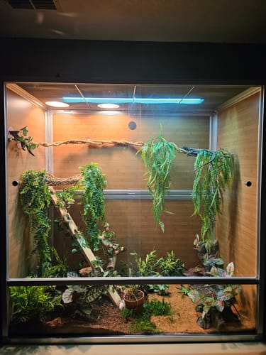 Customer photo review of 4'x2'x4' Meridian PVC Reptile Enclosure