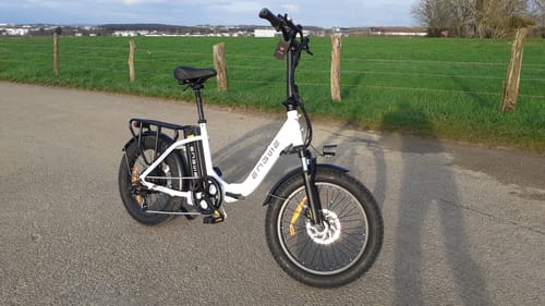 Customer photo review of Engwe L20 SE 250W 20" Foldable Electric Trekking Bike 15.6Ah Step-through E-bike