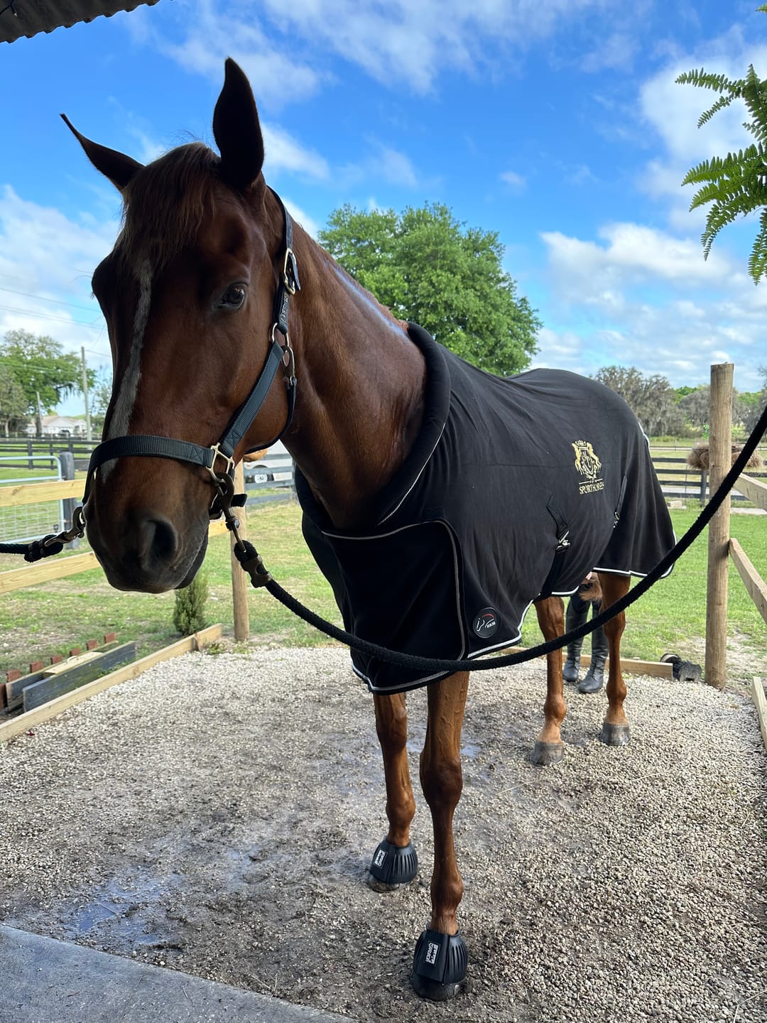 Customer photo review of Heavy Weight European Fleece Cooler