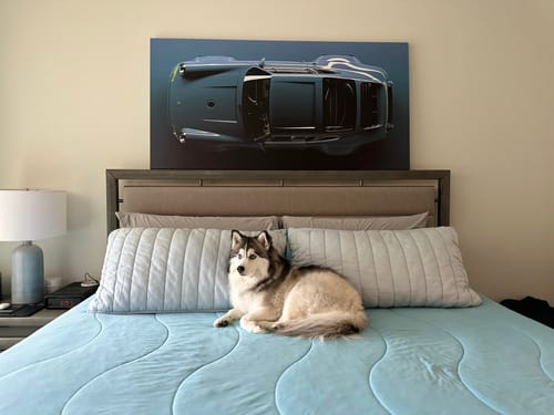 Customer photo review of Create Your Own Canvas Set - Wide Landscape