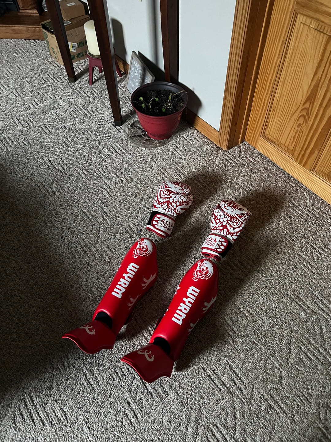 Customer photo review of Dragon White/Red Leather Boxing Gloves