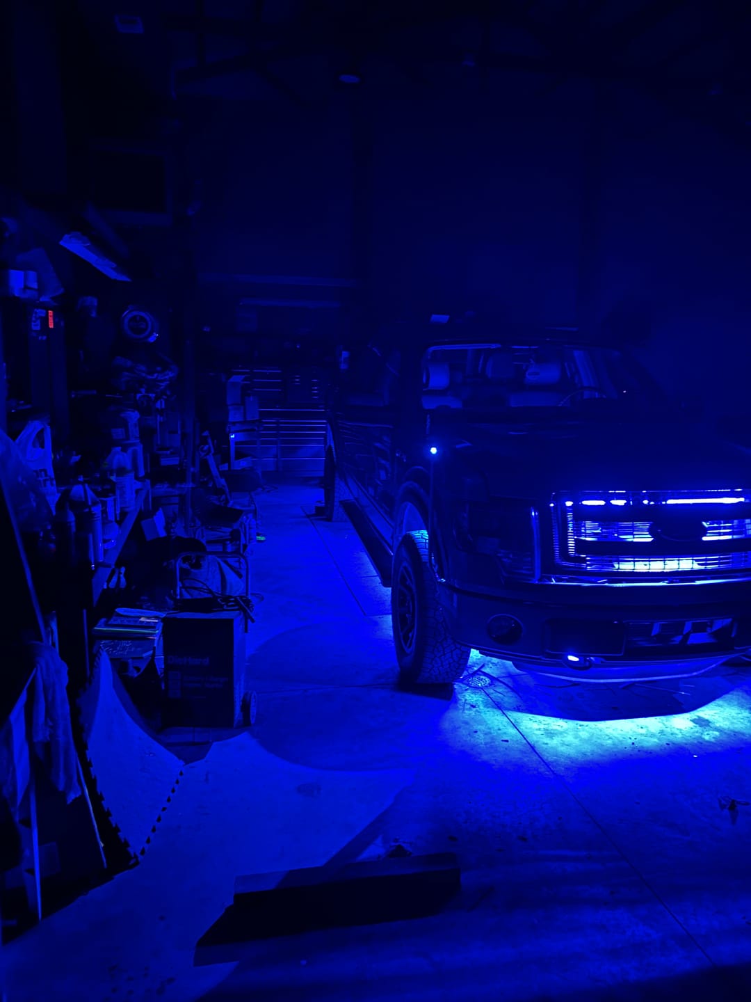 Customer photo review of 12V Submersible Marine LED strip lights for boats with IP68 waterproof rating SMD 5050