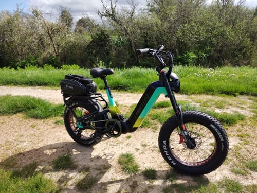Customer photo review of Lankeleisi RX800 Plus 1000W 20" Fat Bike Full Suspension Electric Bike 48V 20Ah Samsung Battery SUV E-Bike
