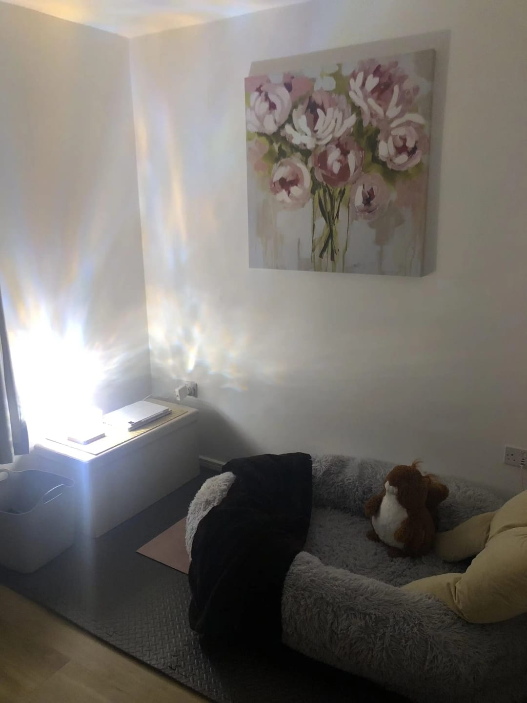Customer photo review of Human Dog Bed