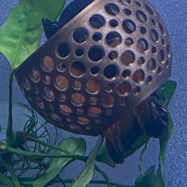 Customer photo review of Cave Lounge Hammock - Aquarium Ornament for Betta, Fish, and Shrimp