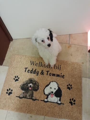Customer photo review of Welkom bij - Gepersonaliseerde huisdier deurmat