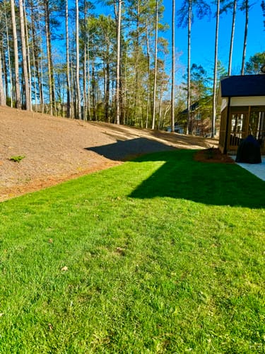 Customer photo review of GCI Turf Spreader Elite Grass Seed