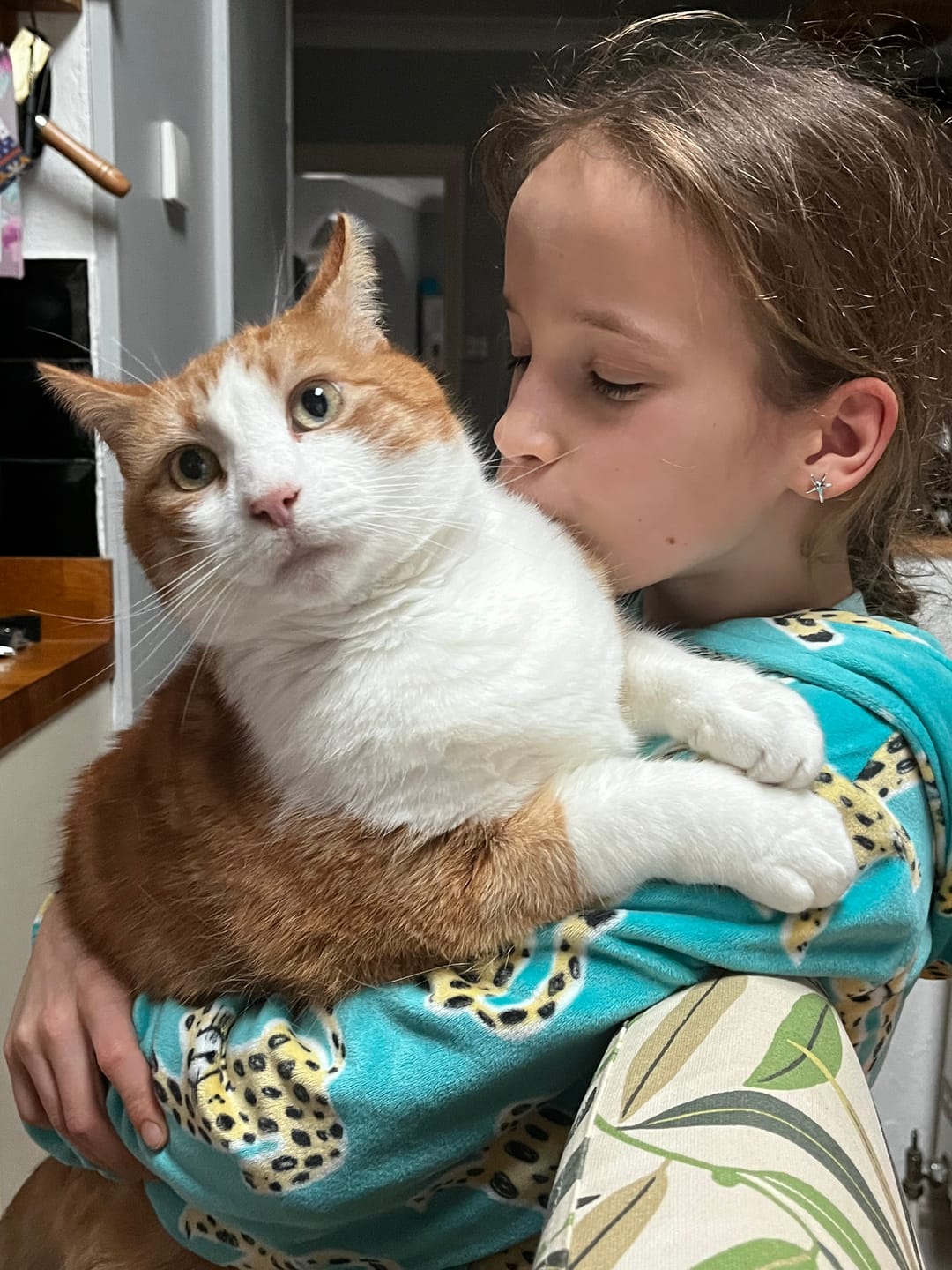 Customer photo review of Cat Spray