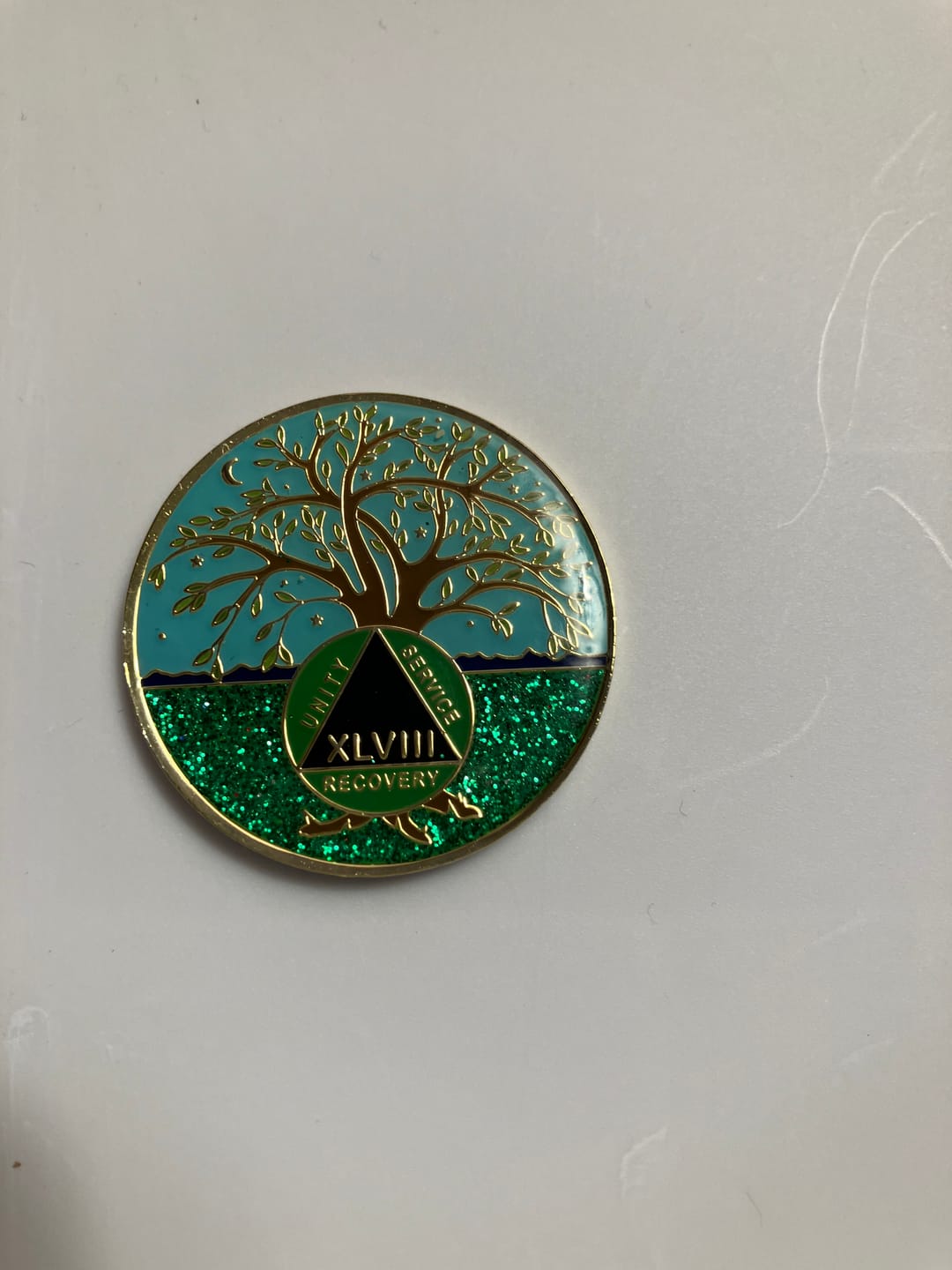 Customer photo review of 1 to 60 Year Tree of Life Specialty AA Recovery Medallion - Tri-Plated Chip/Coin