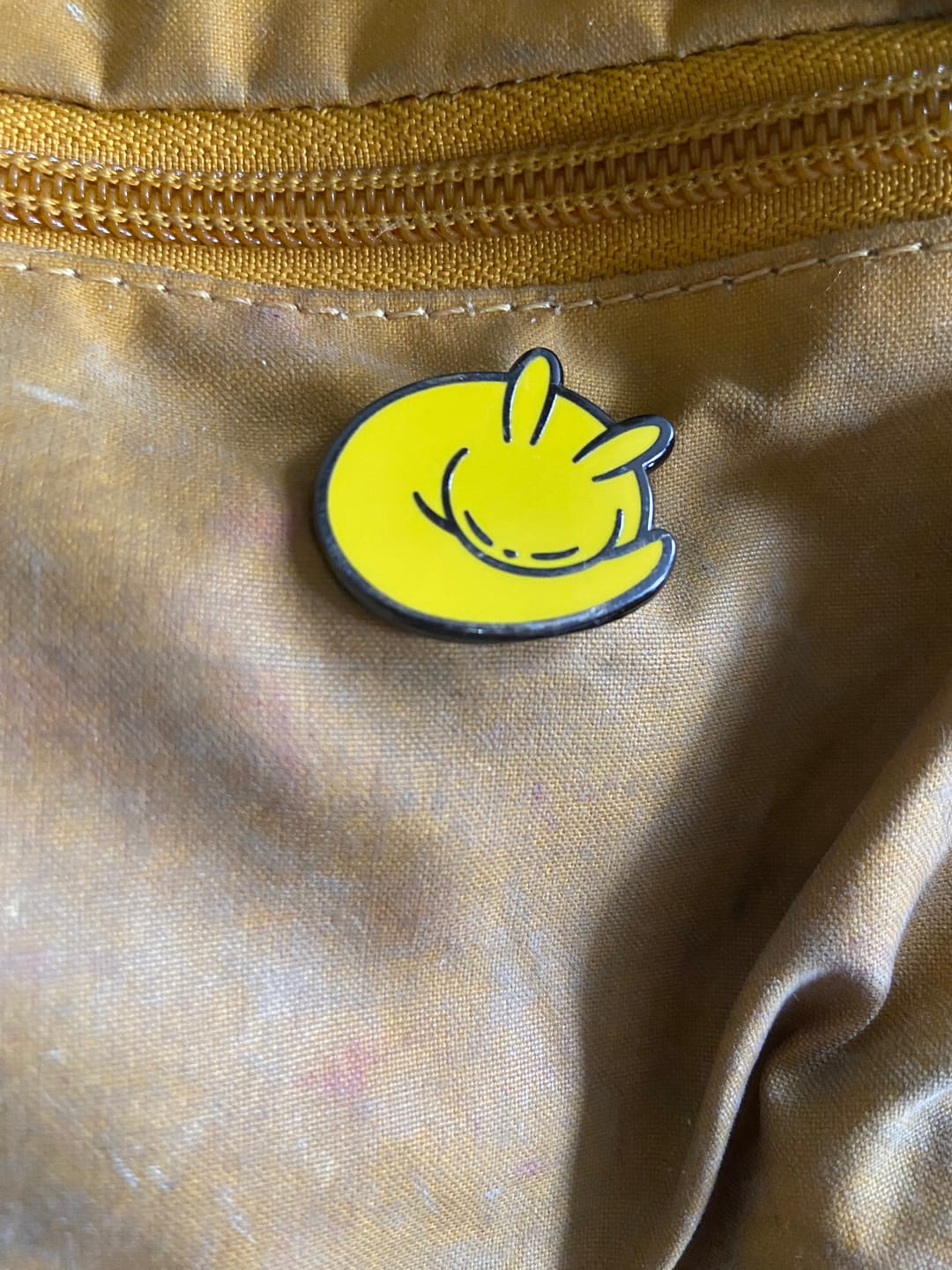 Customer photo review of Rain World - Slugcat Monk Pin